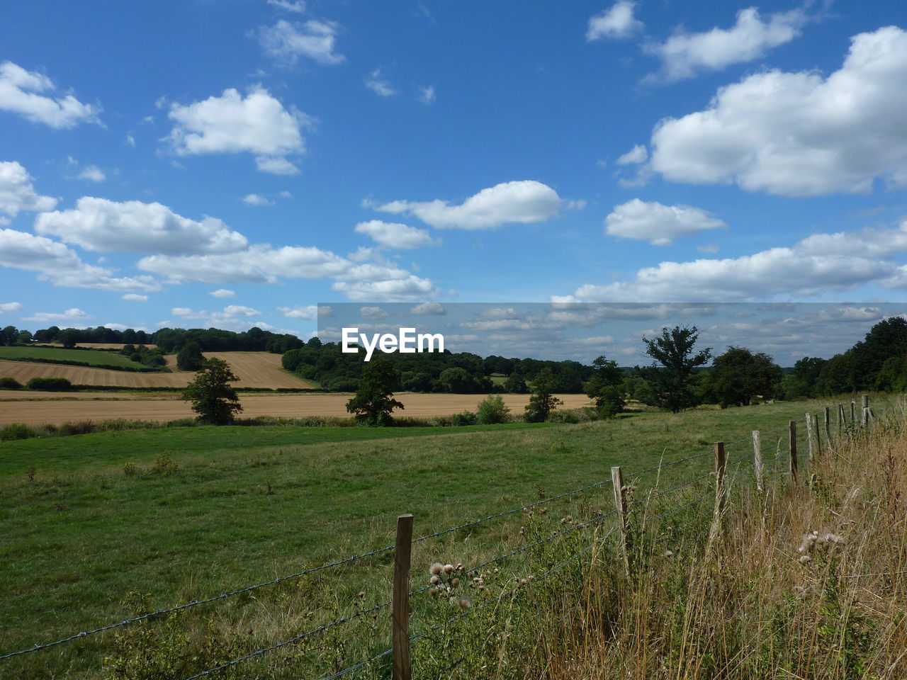 AGRICULTURAL FIELD AGAINST SKY