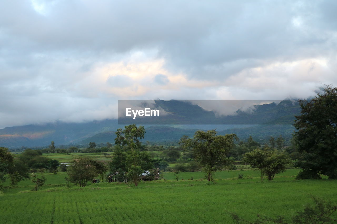 Scenic view of field against cloudy sky