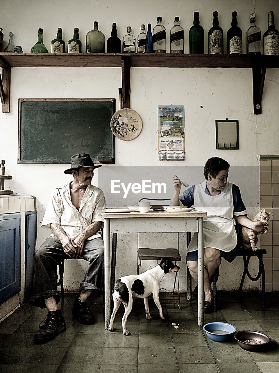 VIEW OF DOGS SITTING ON TABLE IN CAFE