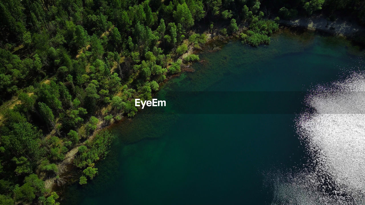 Drone shot of lake and forest