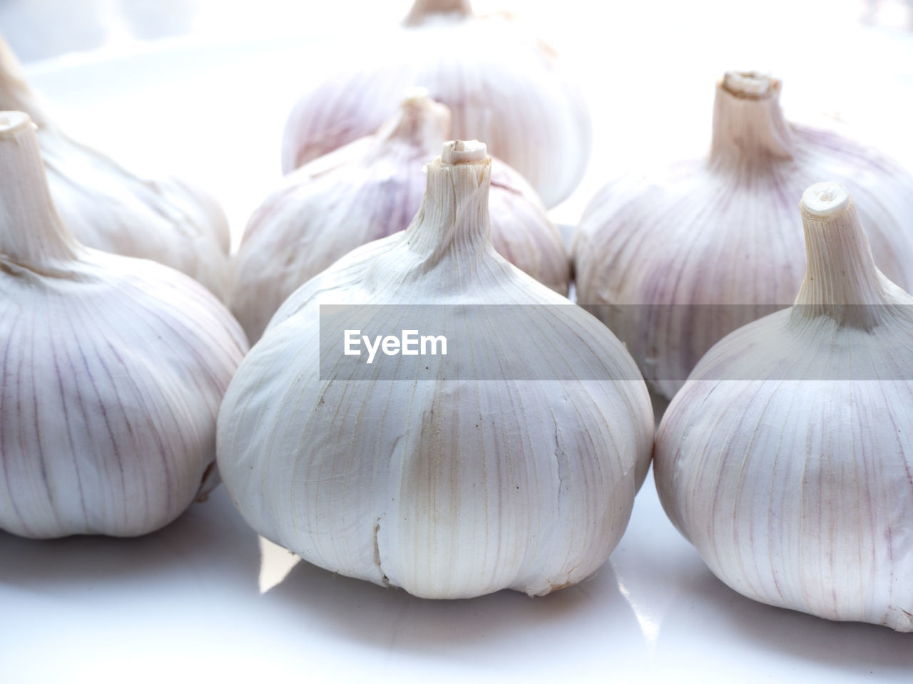 CLOSE-UP OF WHITE GARLIC