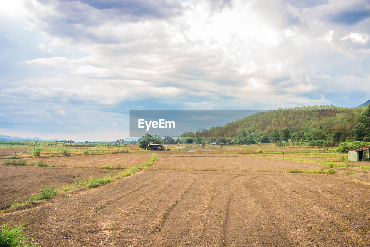 Scenic view of agricultural field against sky