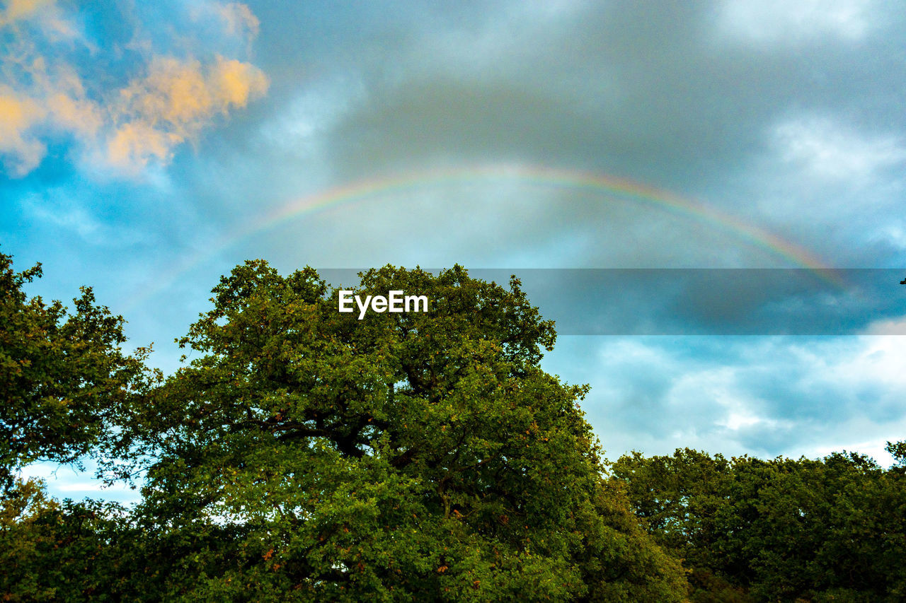 LOW ANGLE VIEW OF RAINBOW AGAINST SKY