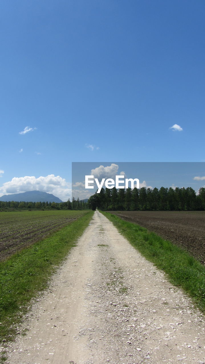 Scenic view of field against blue sky