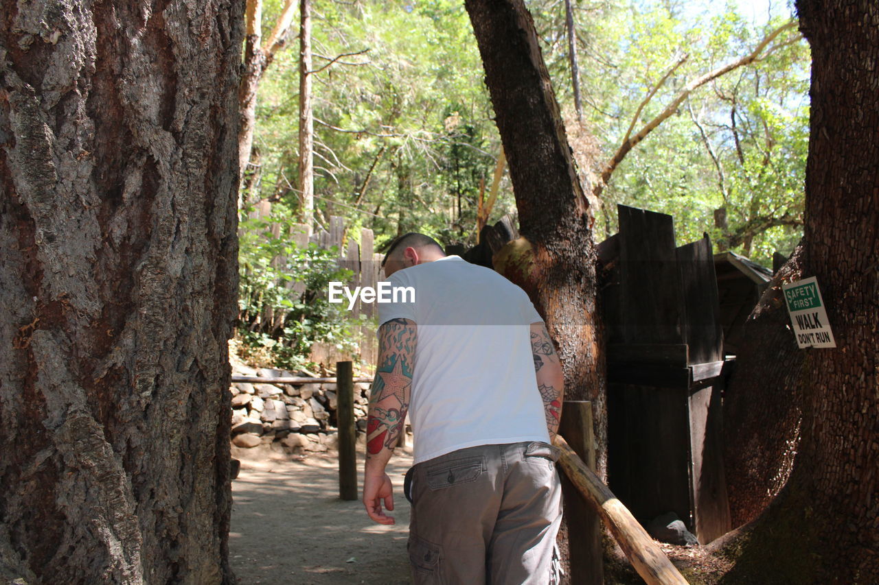 REAR VIEW OF MAN STANDING BY TREE IN FOREST