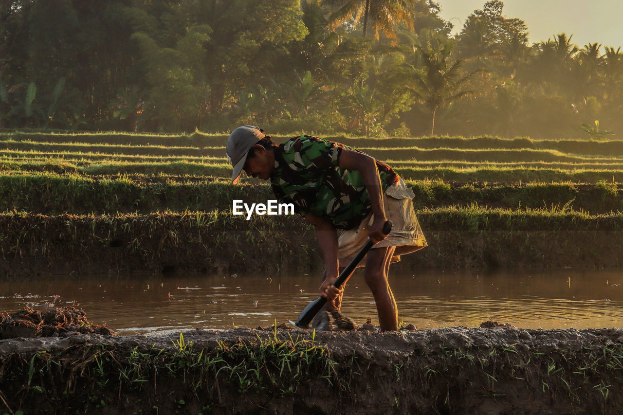 Man working in farm