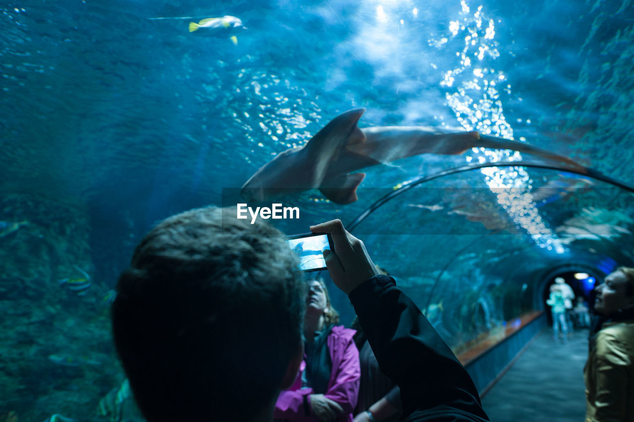 Close-up of boy photographing at aquarium