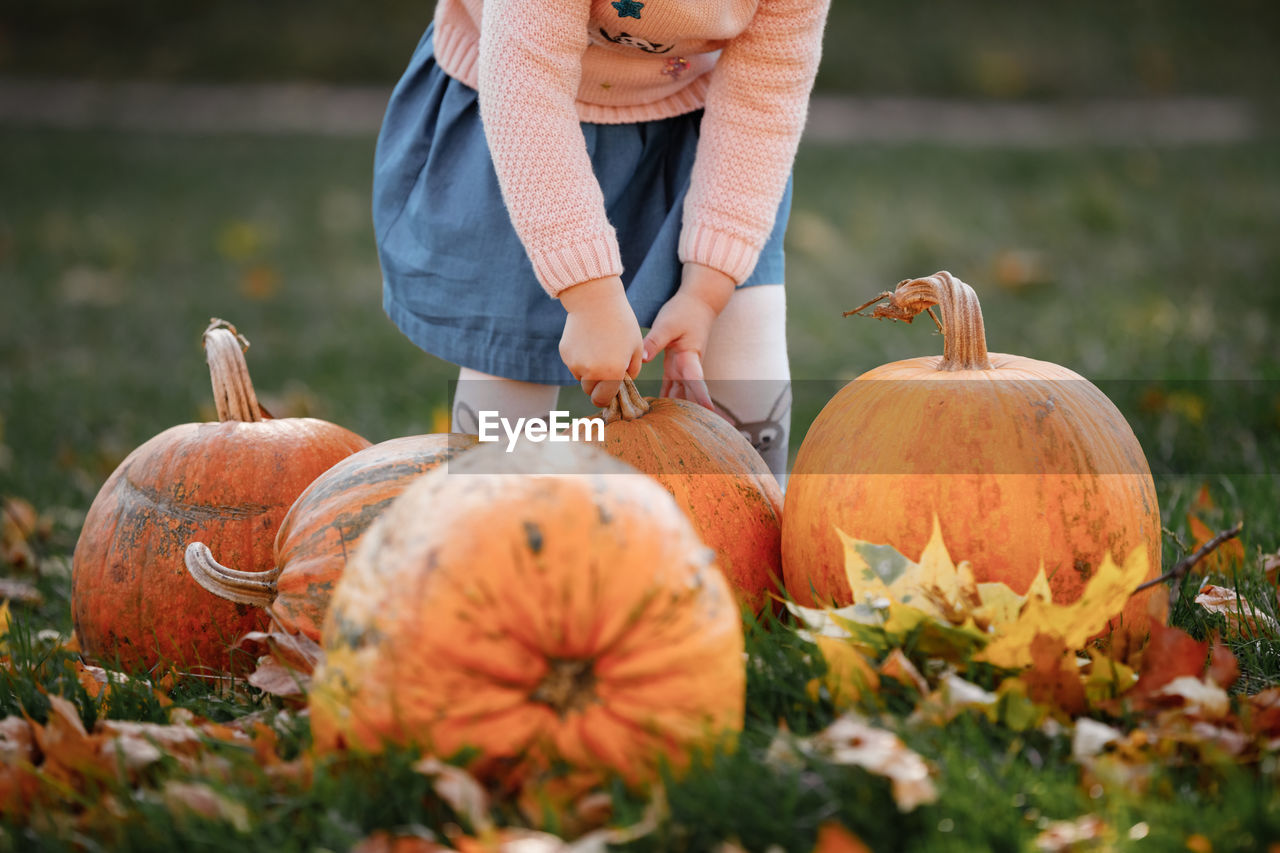 midsection of man holding pumpkins