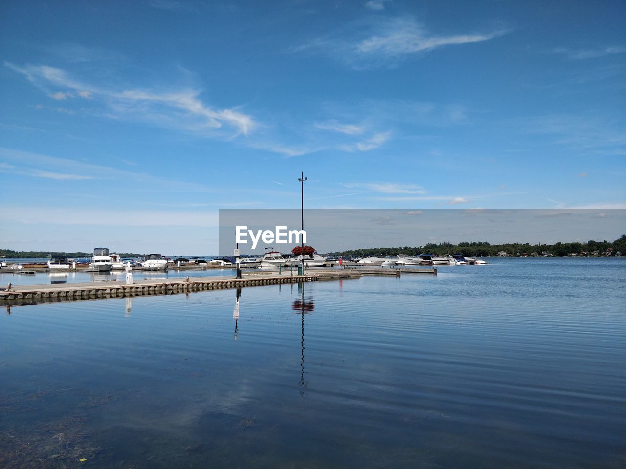 Sailboats moored in marina against sky