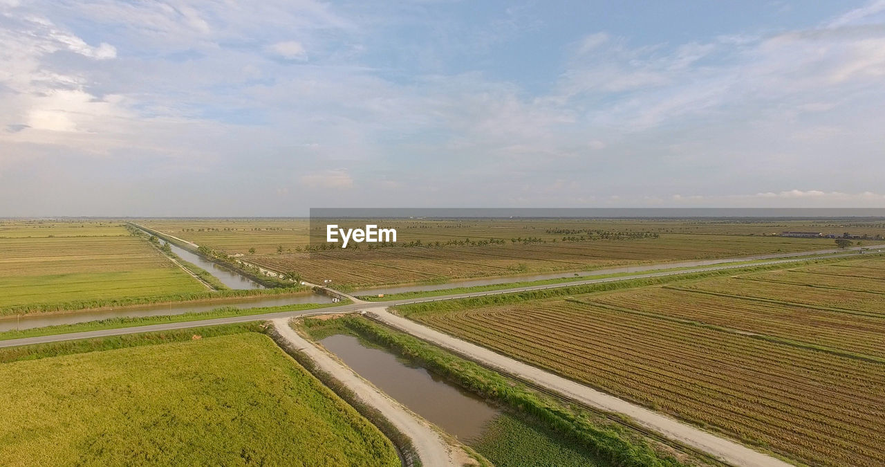 Scenic view of agricultural field against sky