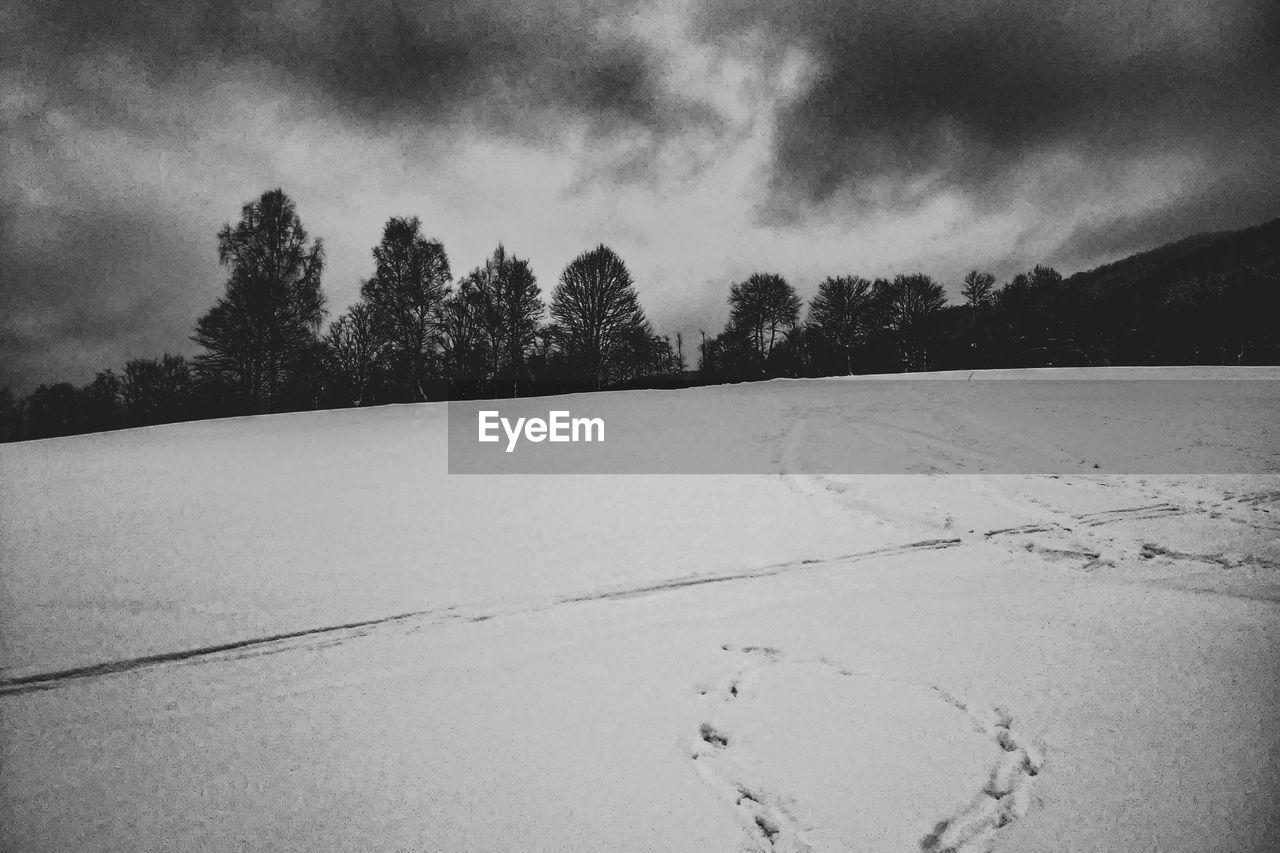 SNOW COVERED FIELD AGAINST SKY