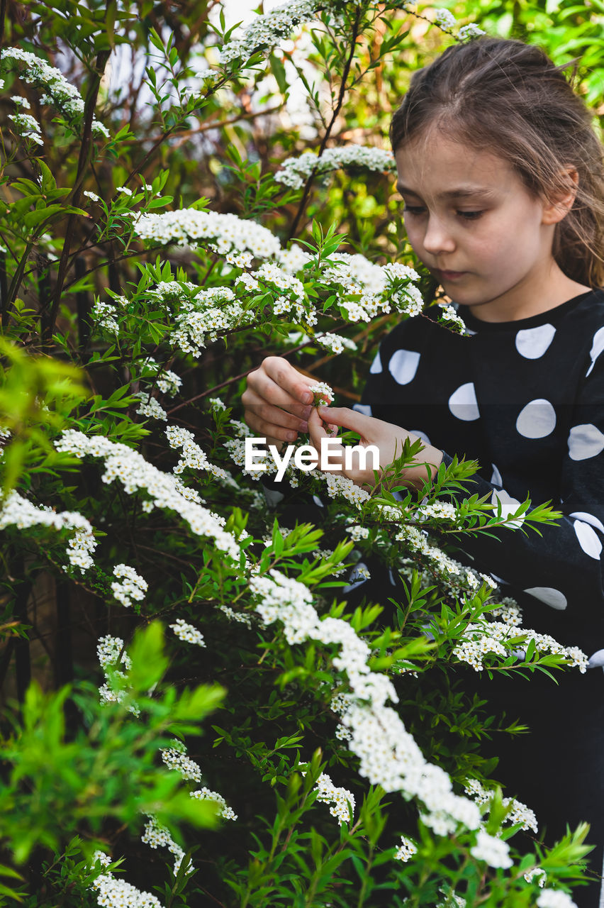 Cute girl holding flowering plant while standing outdoors