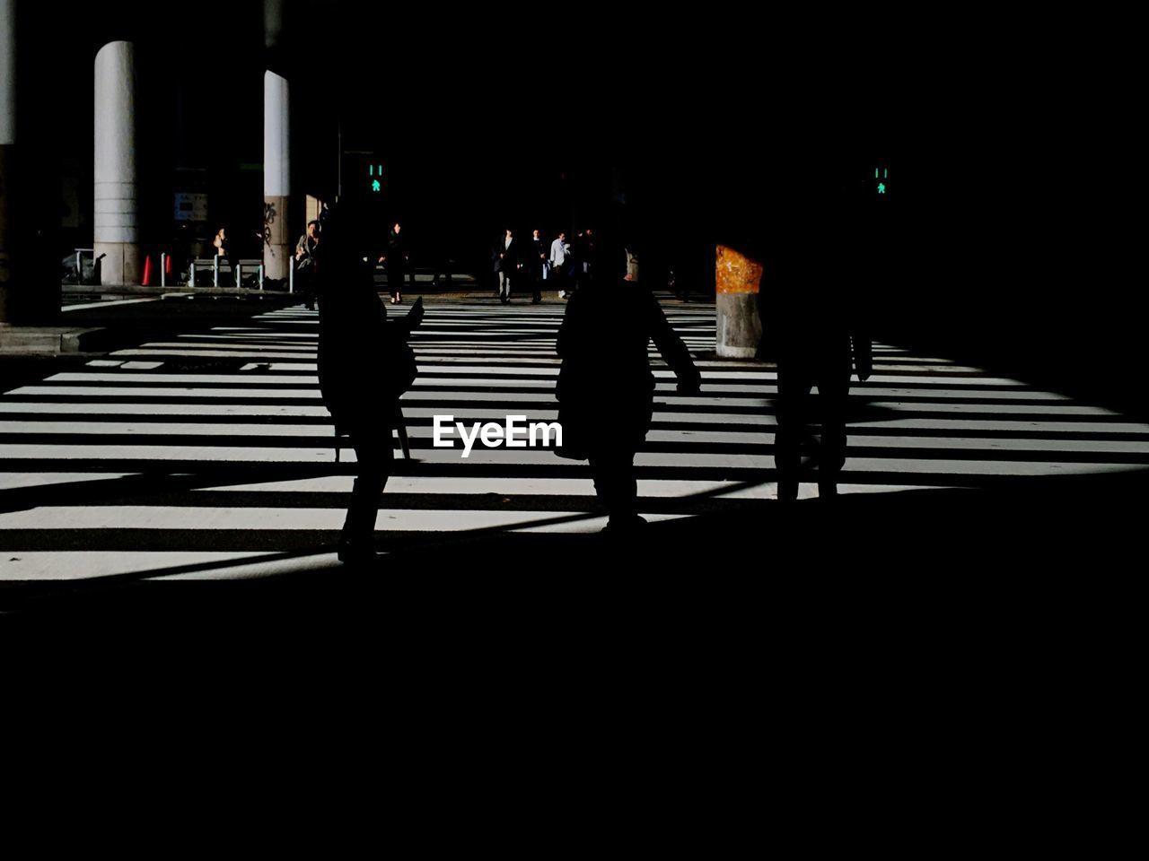 Silhouette people walking on street at night