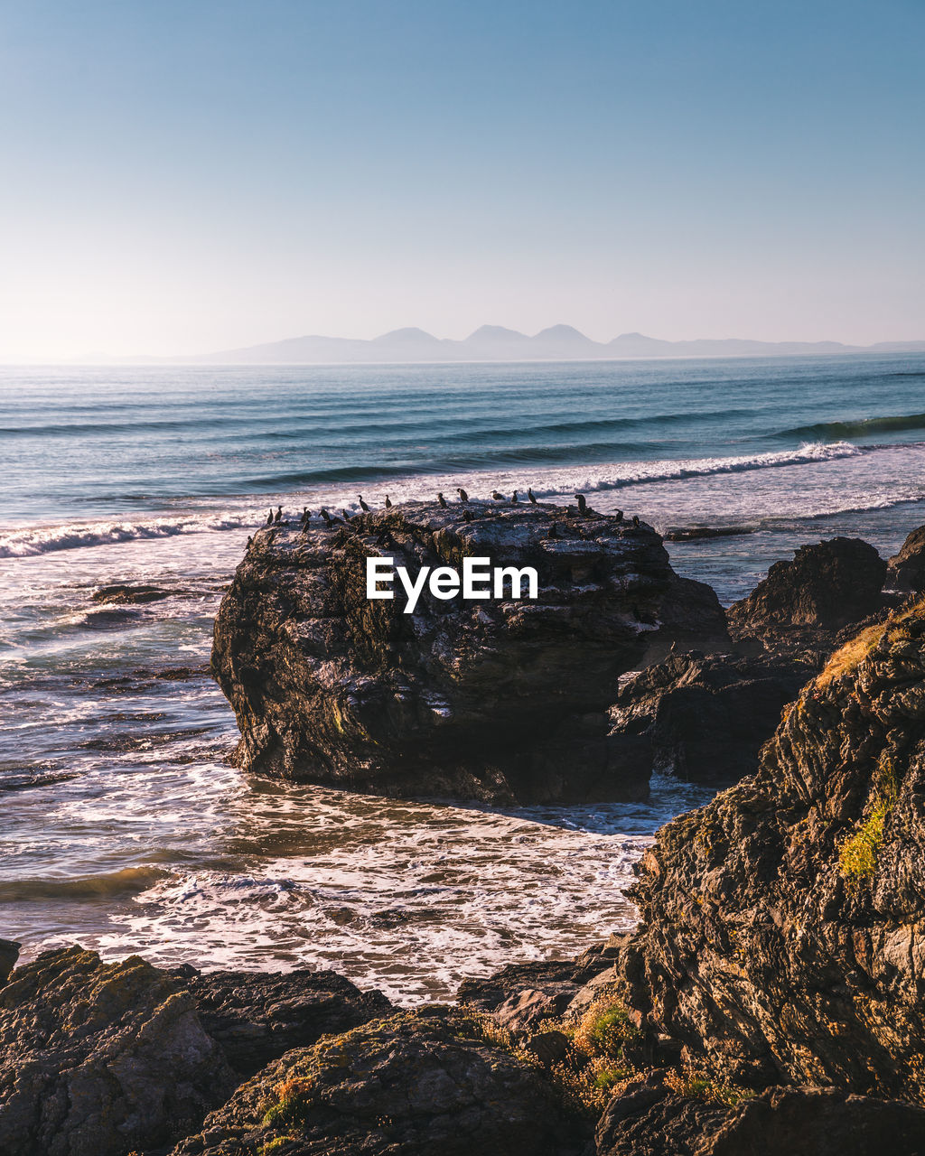 Birds perching on rock formation at sea against sky