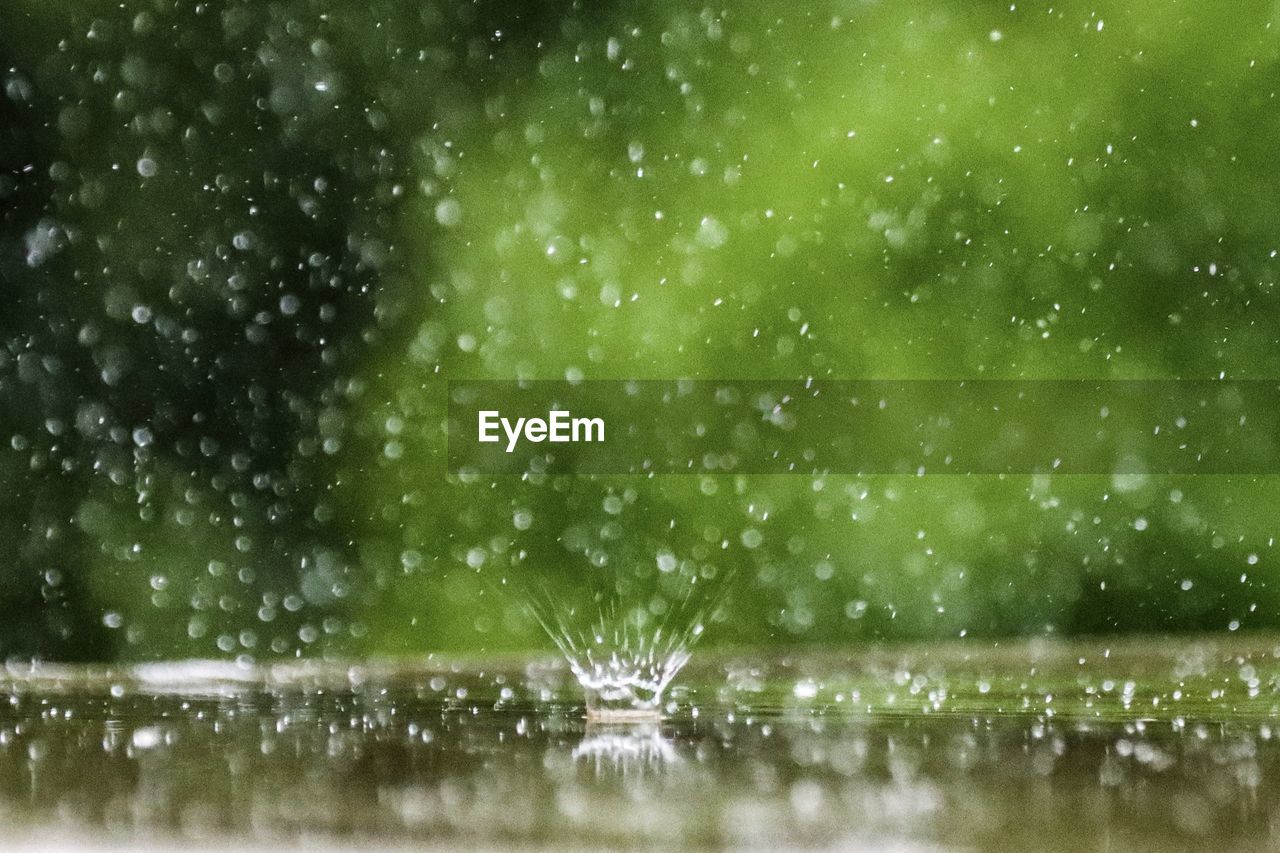 water, nature, green, drop, no people, beauty in nature, wet, rain, plant, motion, outdoors, grass, day, tree, environment, tranquility, scenics - nature, focus on foreground, lake, splashing