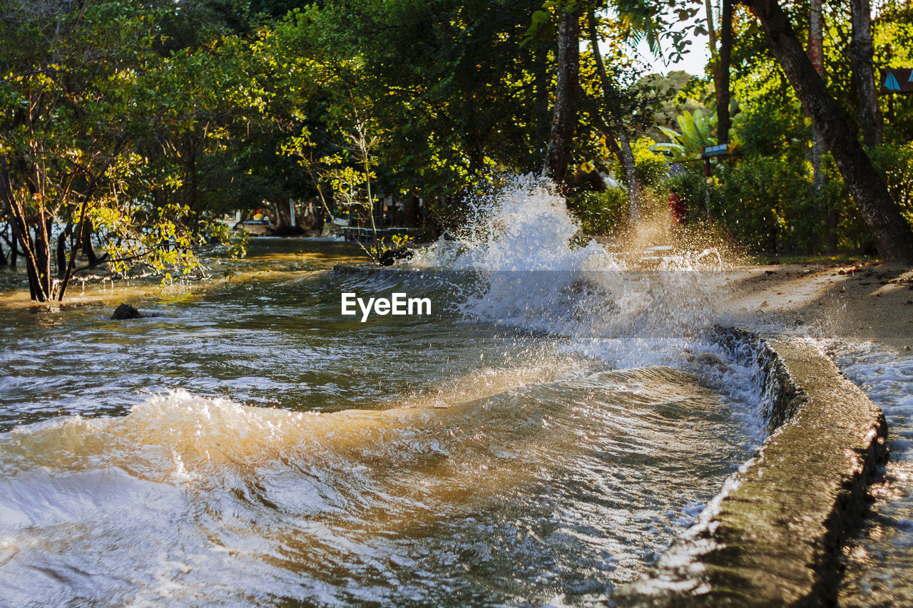 SCENIC VIEW OF WATER FLOWING IN PARK