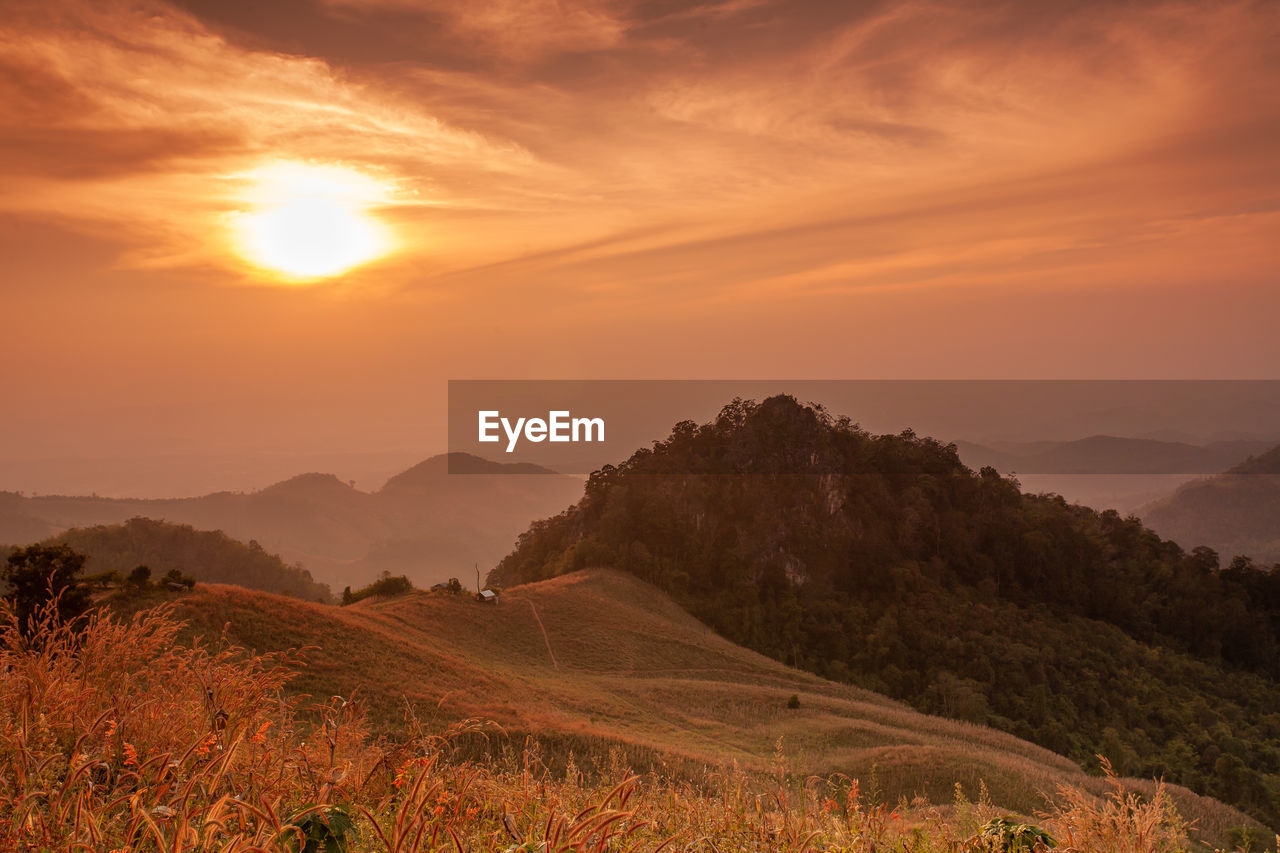 Scenic view of field against sky during sunset