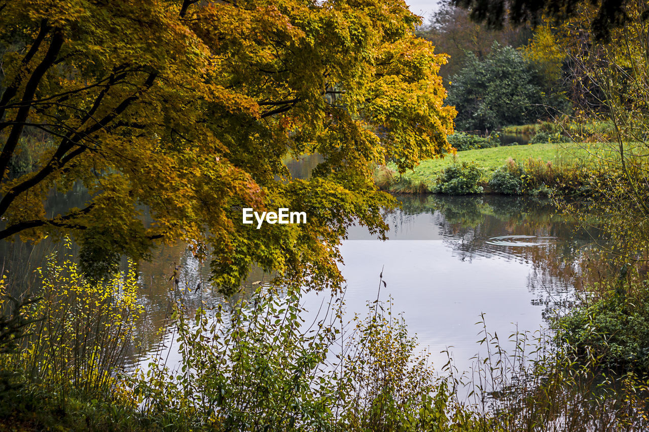 SCENIC VIEW OF LAKE