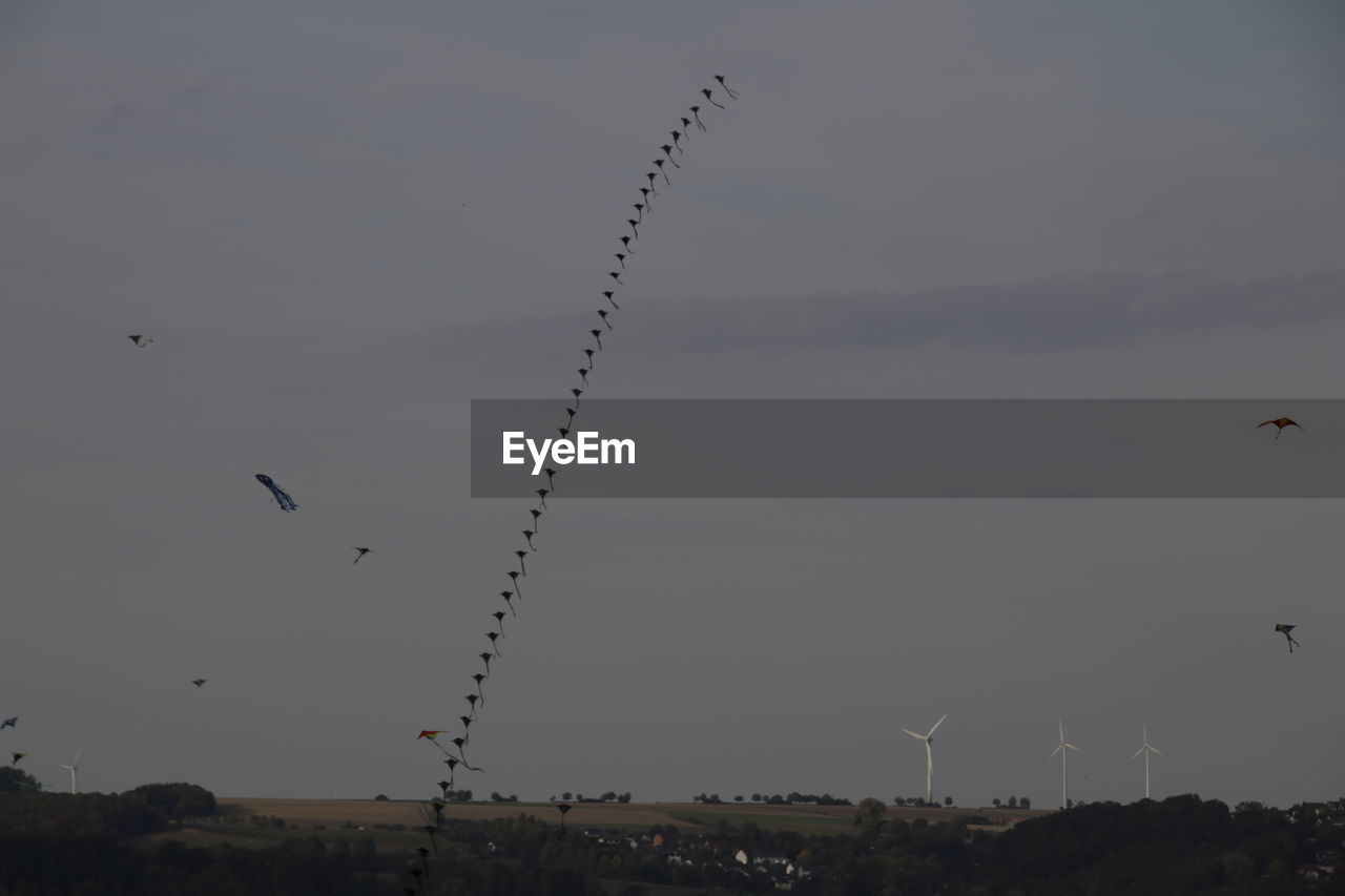 LOW ANGLE VIEW OF BIRDS FLYING OVER LANDSCAPE
