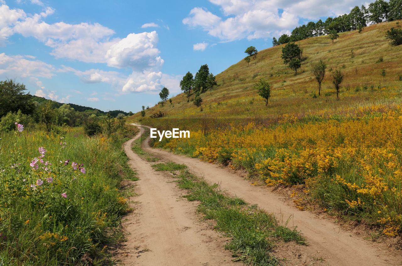 ROAD AMIDST PLANTS AND LAND AGAINST SKY