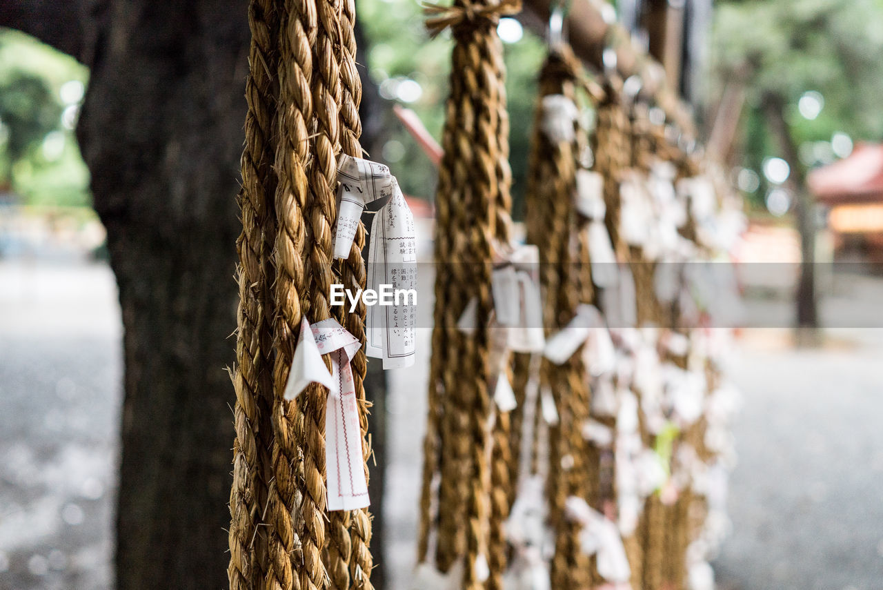 Close-up of omikujis tied with ropes