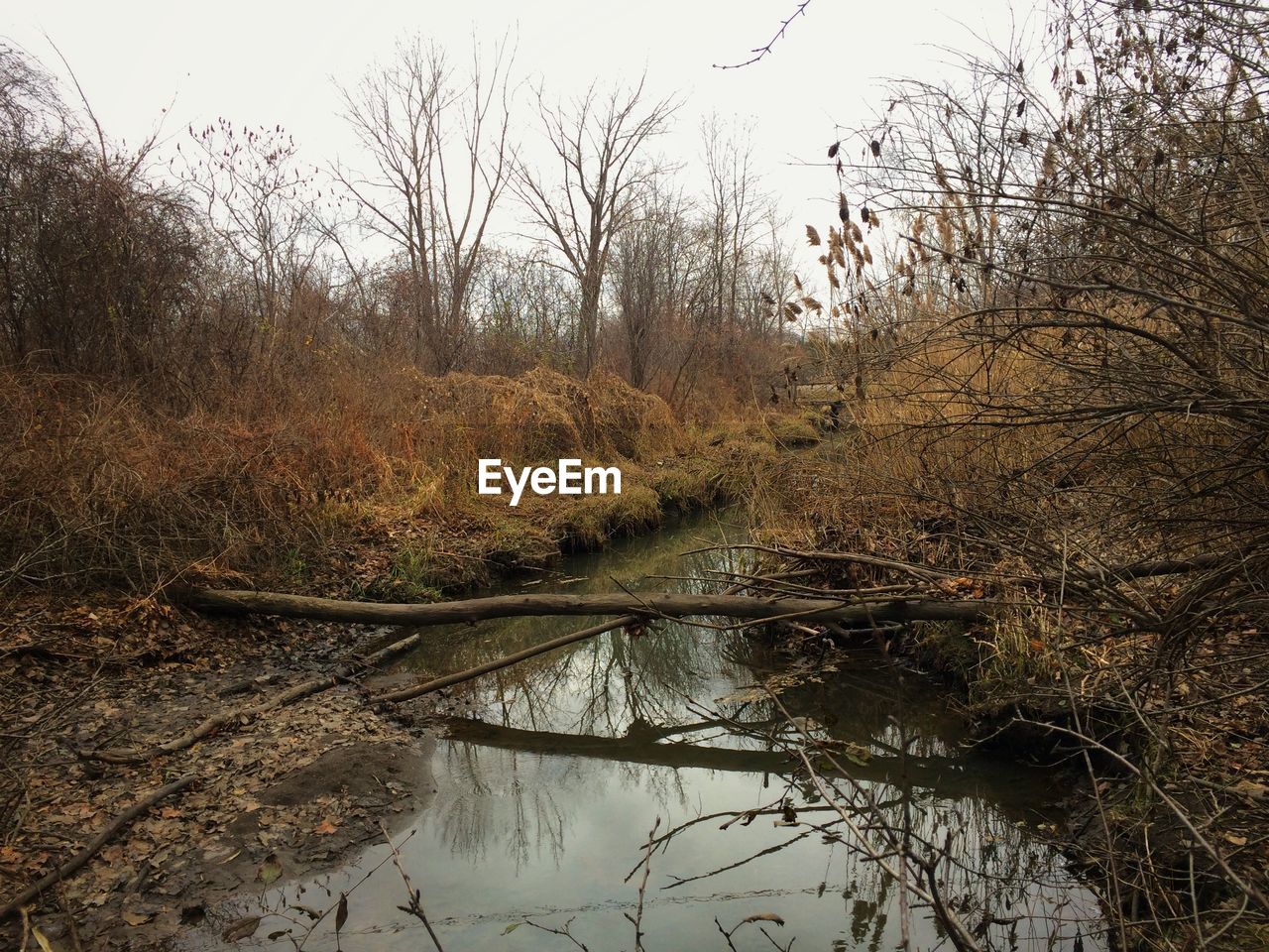 High angle view of canal amidst bare trees on field