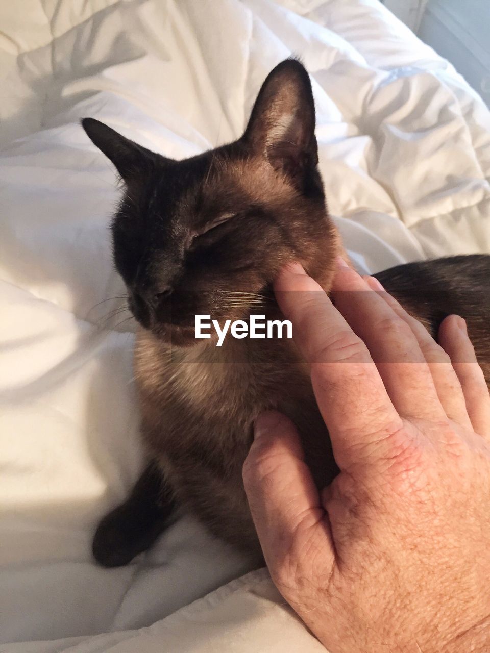 CROPPED IMAGE OF MAN