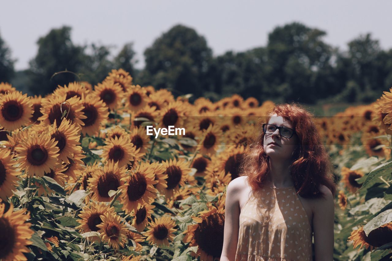 Young woman in sunflower field