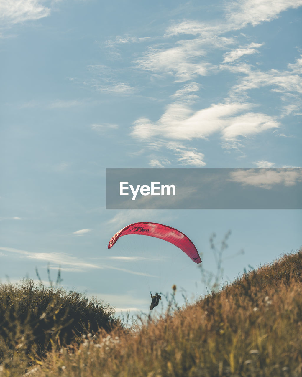 Flag flying over field against sky