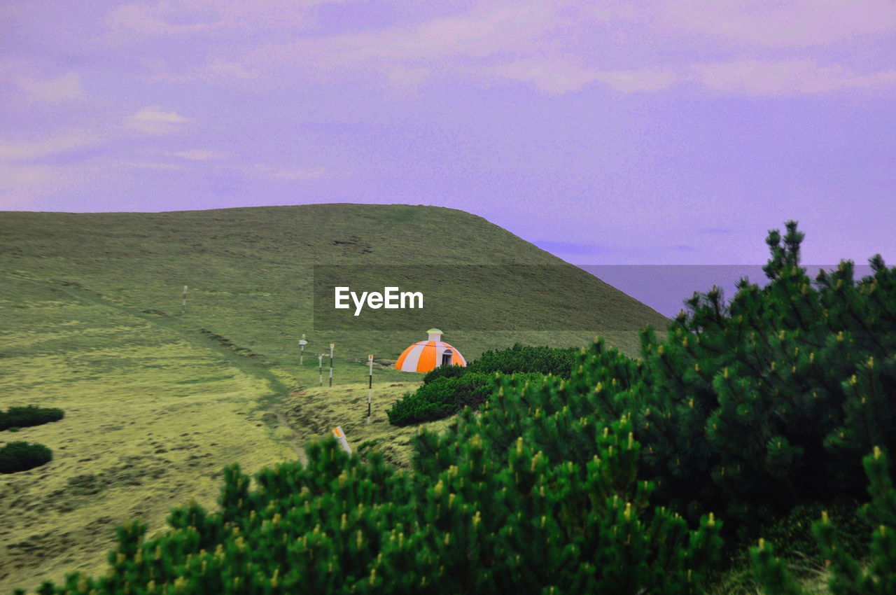 Plants on mountains against purple sky