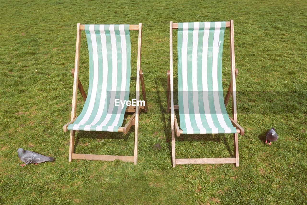 High angle view of pigeons by empty deck chair on grass