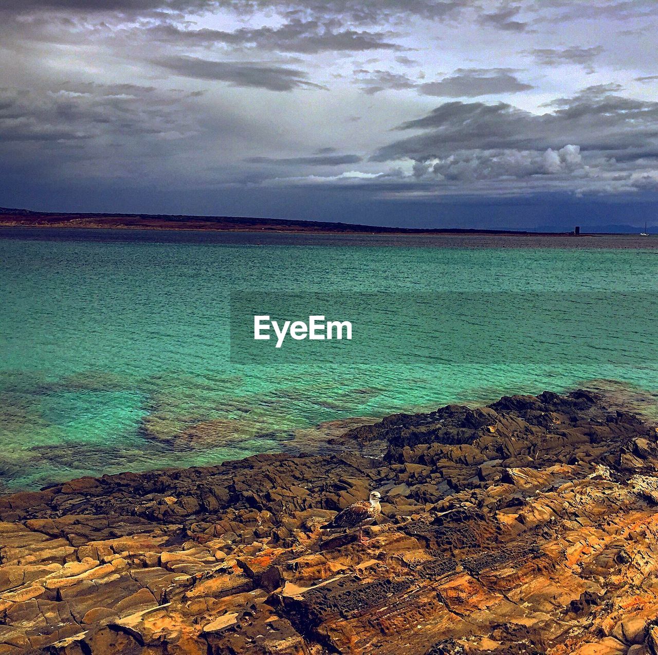 SCENIC VIEW OF BEACH