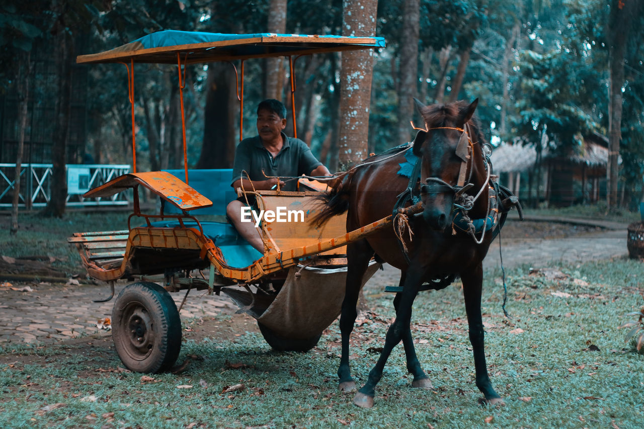 MAN RIDING HORSE CART ON MOTORCYCLE