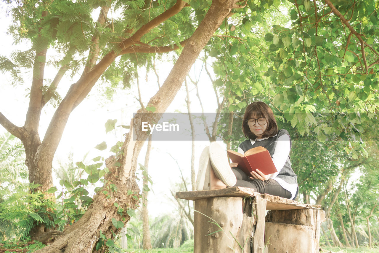 Mature woman reading book while sitting on bench by trees