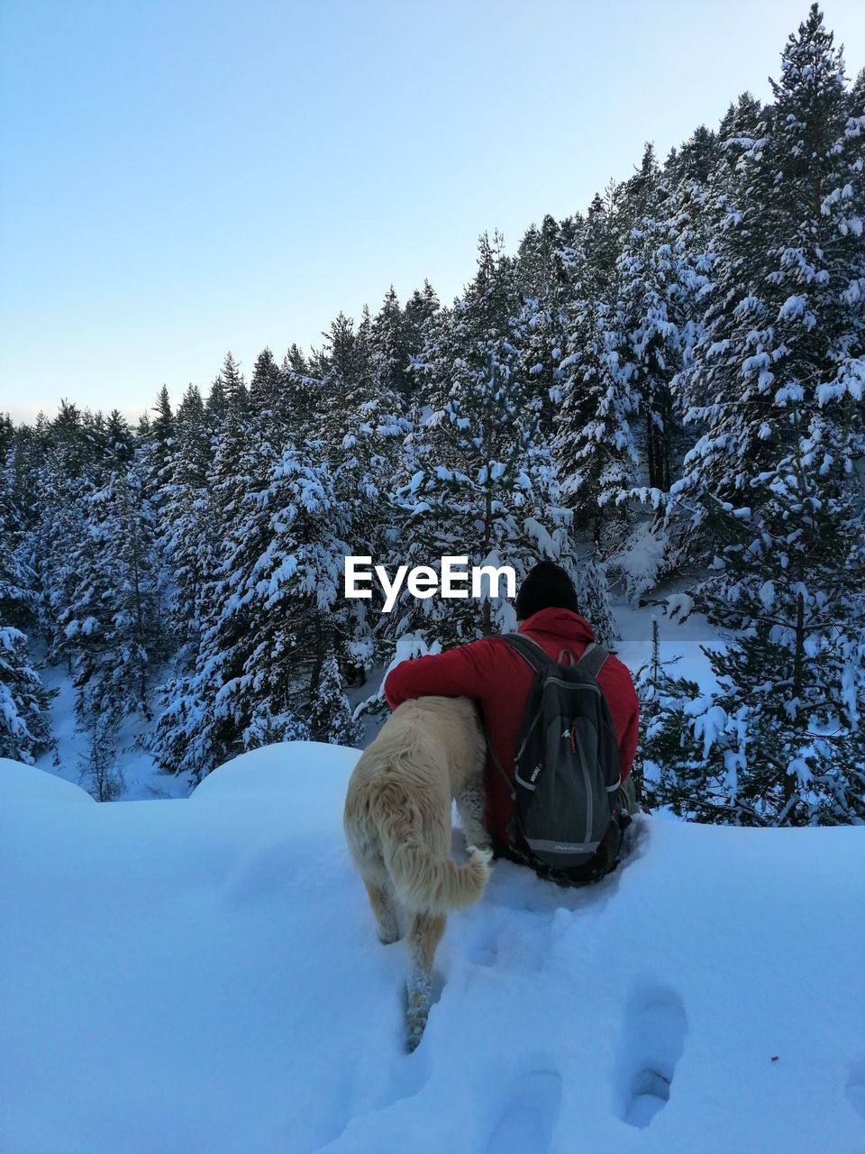 Rear view of a dog in snow