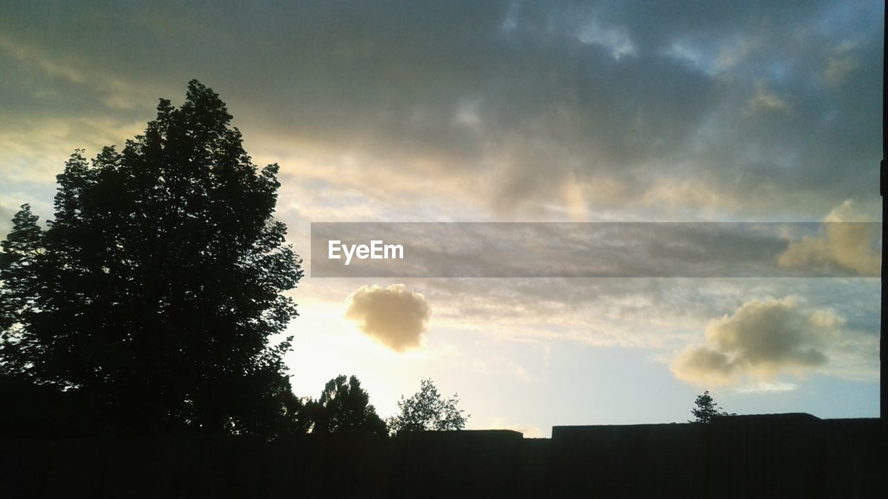 SILHOUETTE OF TREES AGAINST CLOUDY SKY