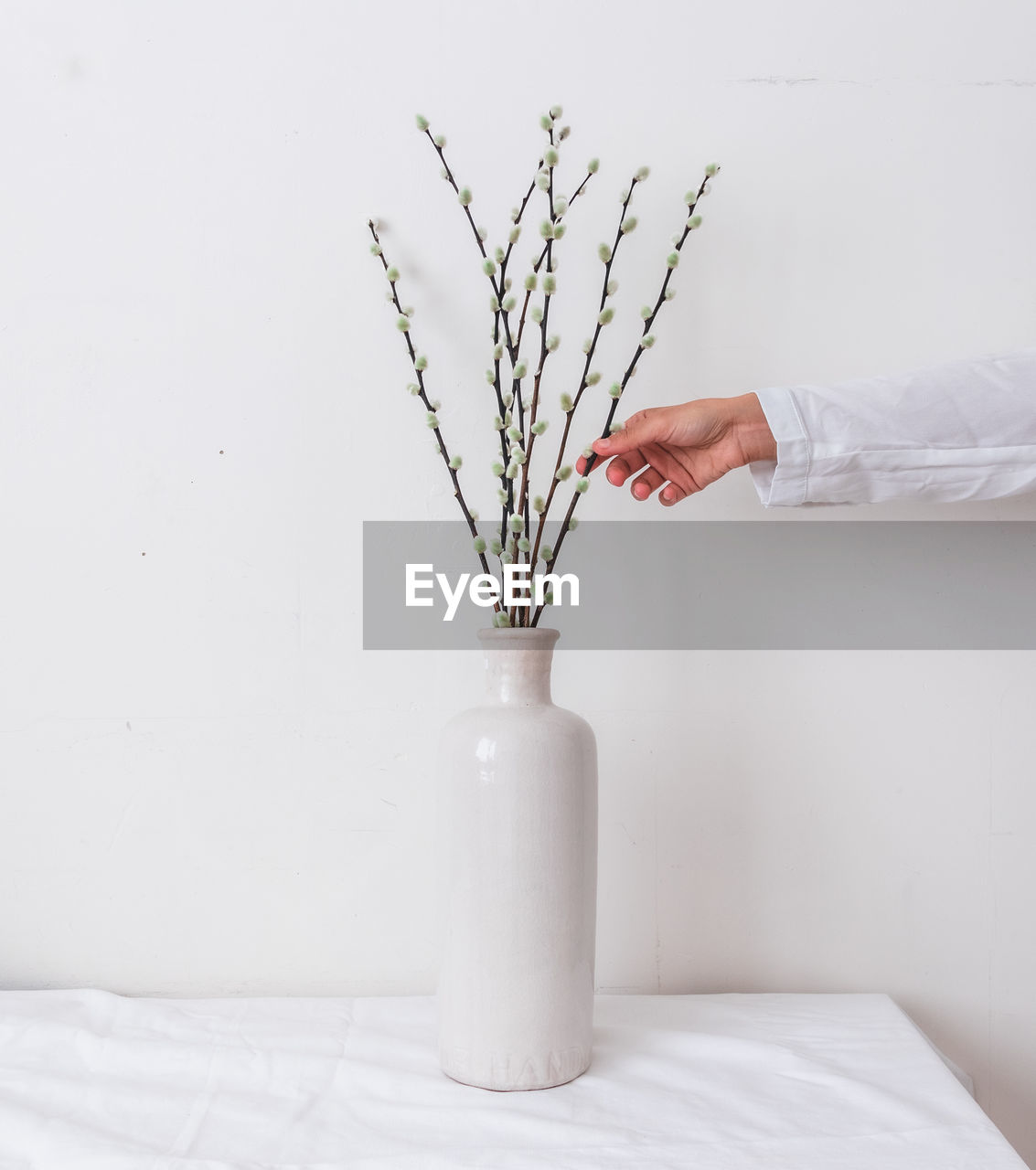 Hand making white flowers bouquet in vase on  white table against white wall