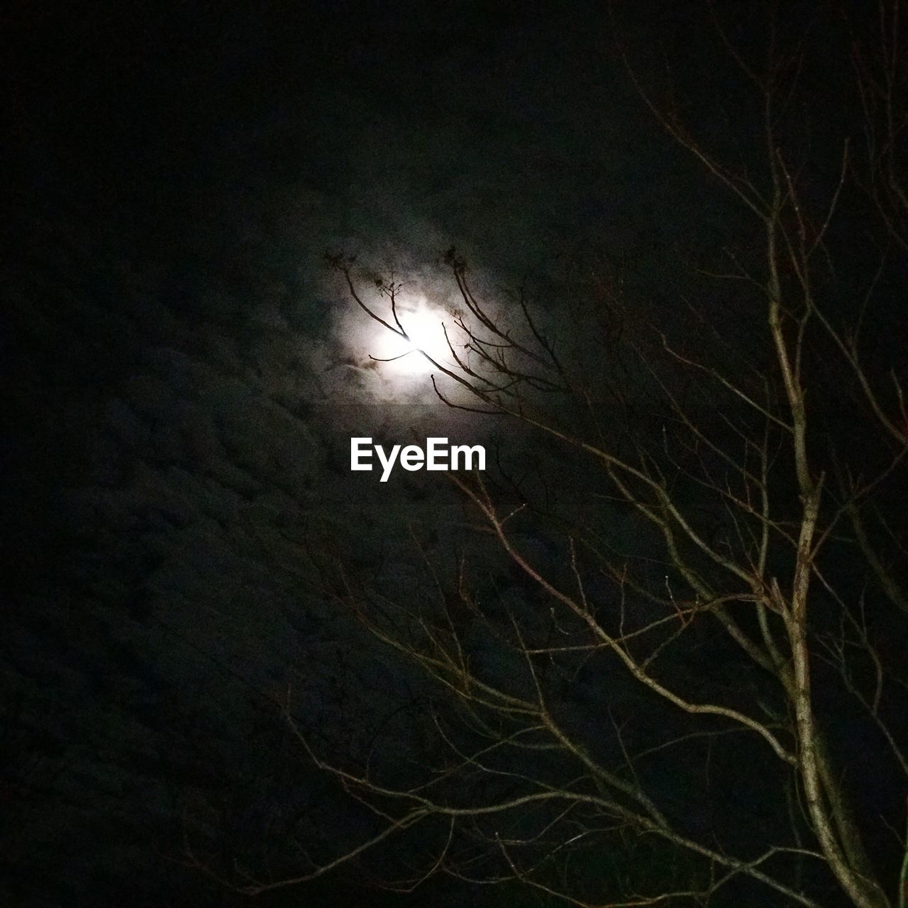 LOW ANGLE VIEW OF MOON IN SKY