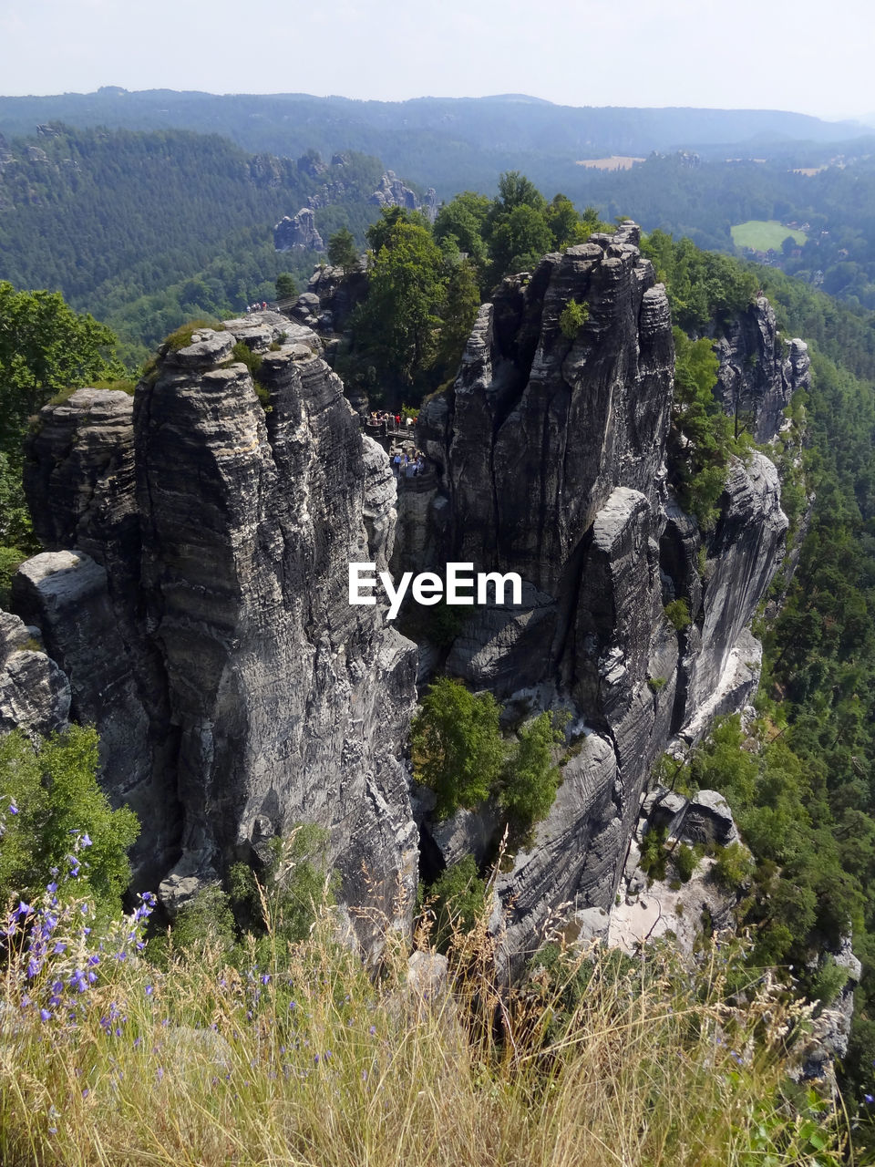 SCENIC VIEW OF WATERFALL