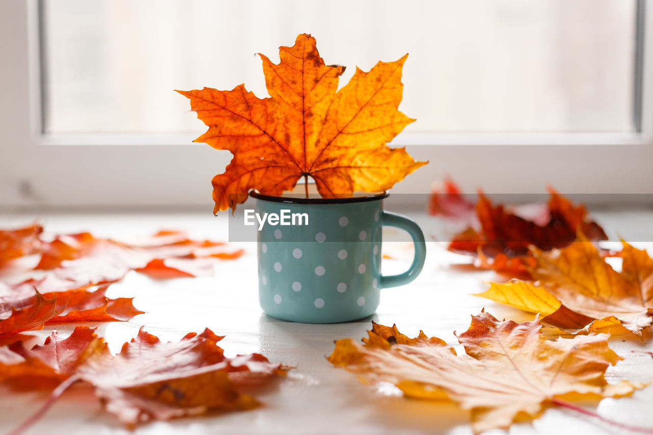 Autumn. fallen leaves and a rustic mug of warm tea