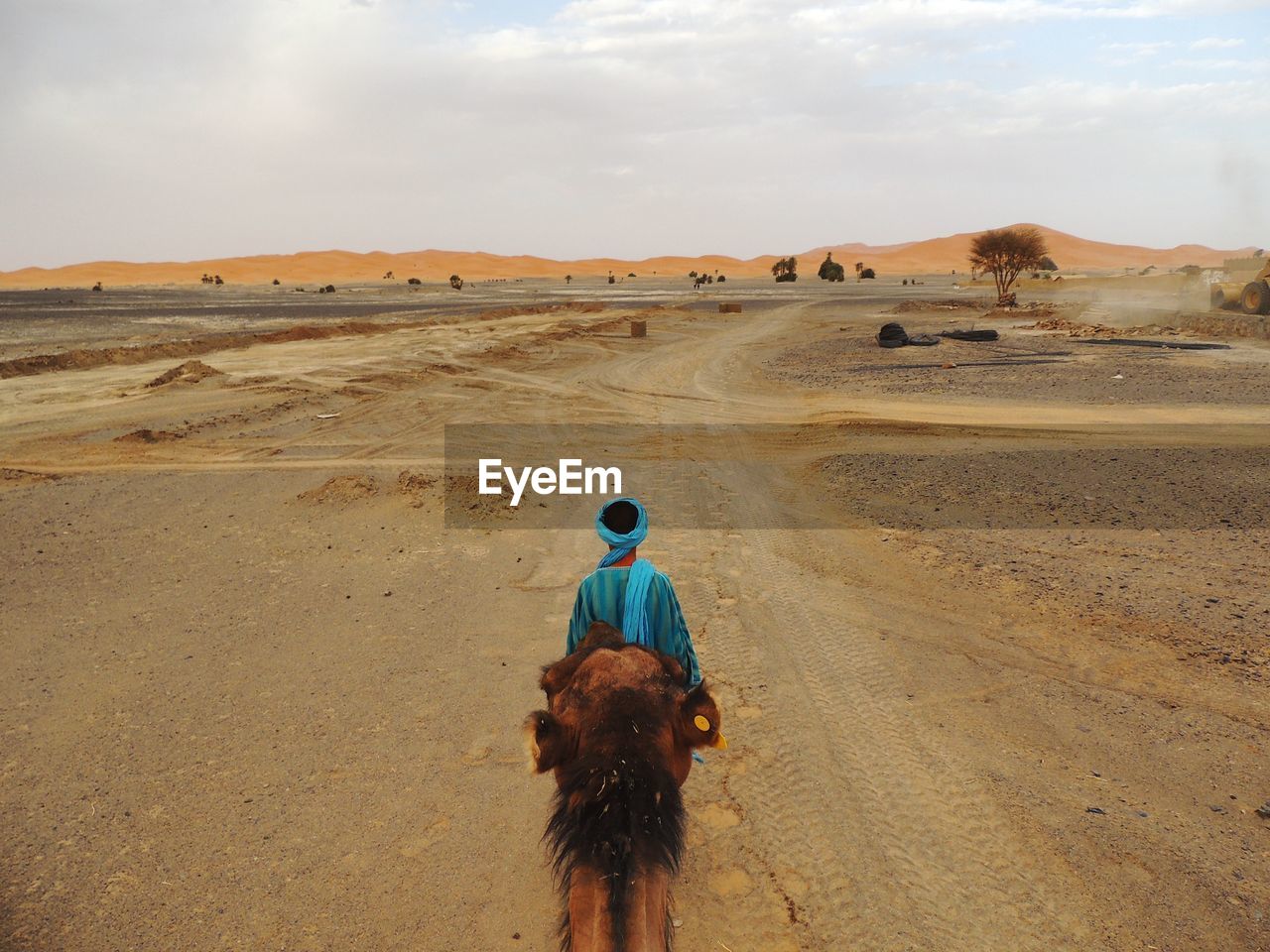 Rear view of man with camel on desert against sky