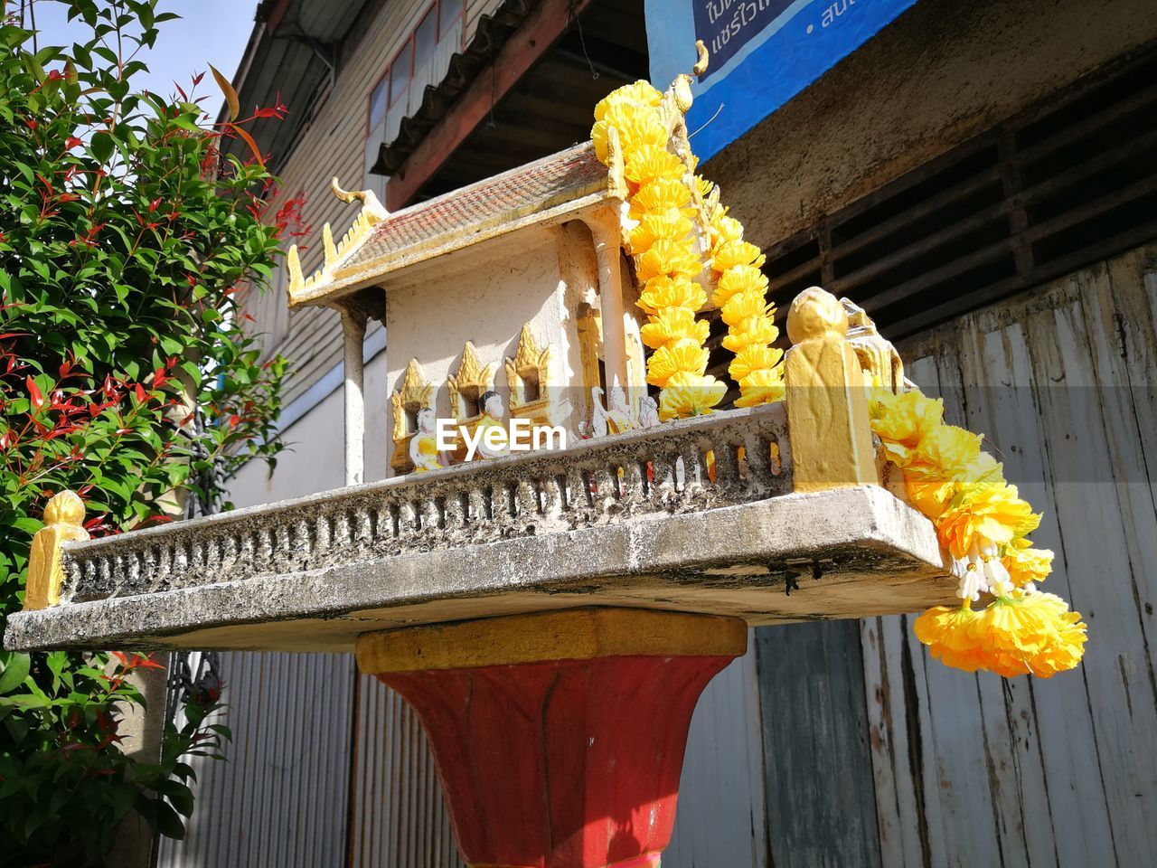 LOW ANGLE VIEW OF YELLOW FLOWERS AGAINST BUILDING
