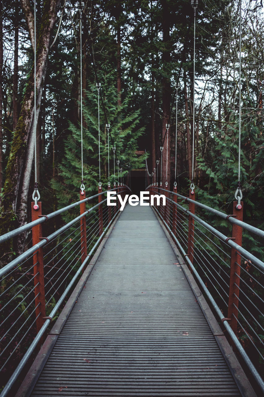 FOOTBRIDGE AMIDST TREES AND PLANTS IN FOREST