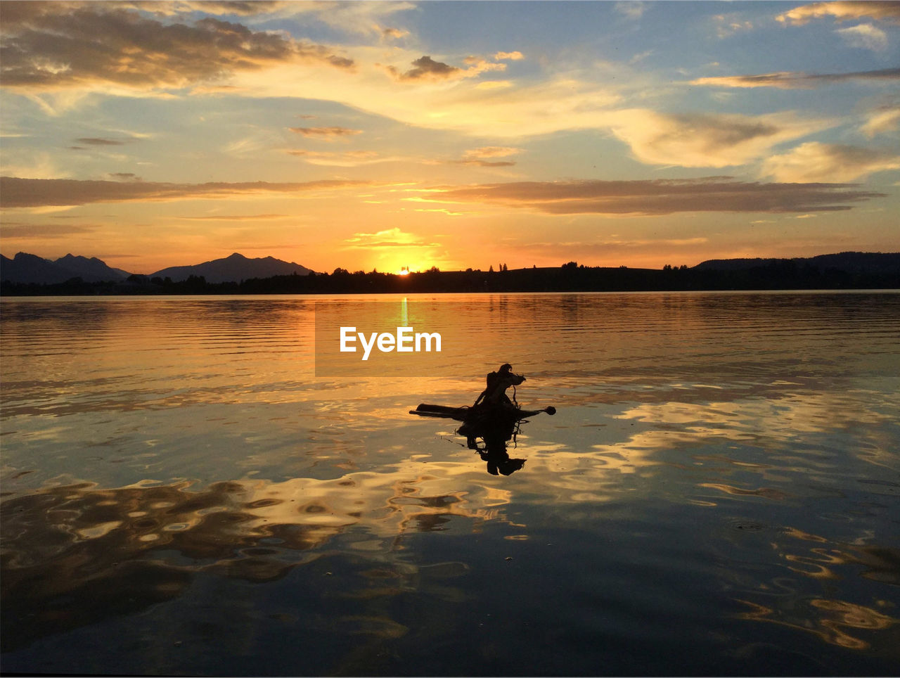 Silhouette driftwood floating in lake against sky during sunset