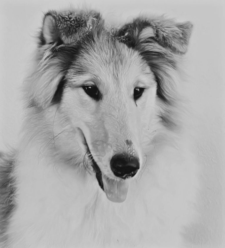 one animal, animal, animal themes, mammal, black and white, dog, pet, domestic animals, portrait, canine, drawing, monochrome, animal body part, sketch, monochrome photography, looking at camera, no people, white, close-up, animal head, animal hair