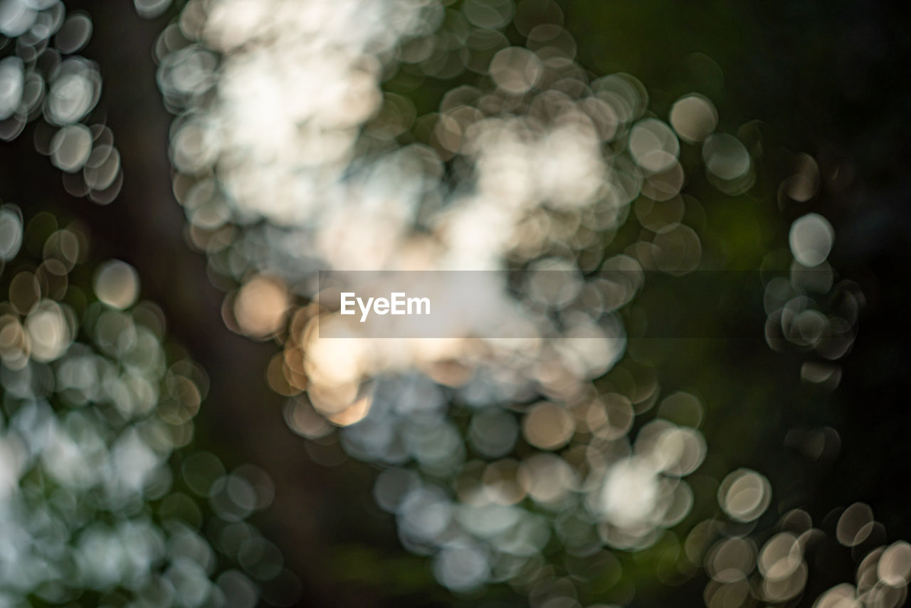 Blurred background, blurred bokeh, nature, ray of light, blurry leaves