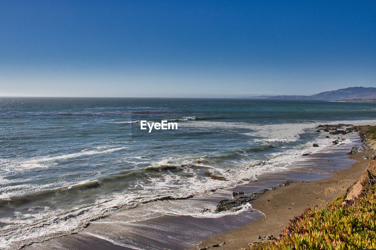 SCENIC VIEW OF BEACH AGAINST CLEAR SKY