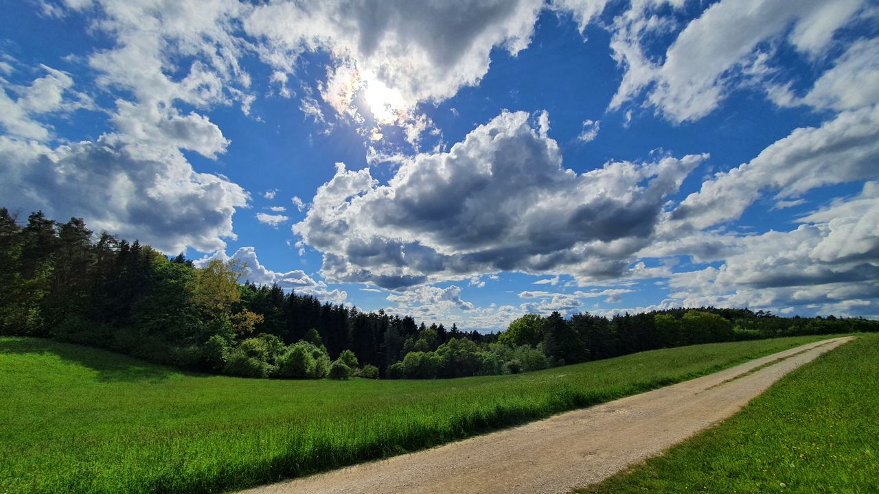 PANORAMIC VIEW OF LANDSCAPE