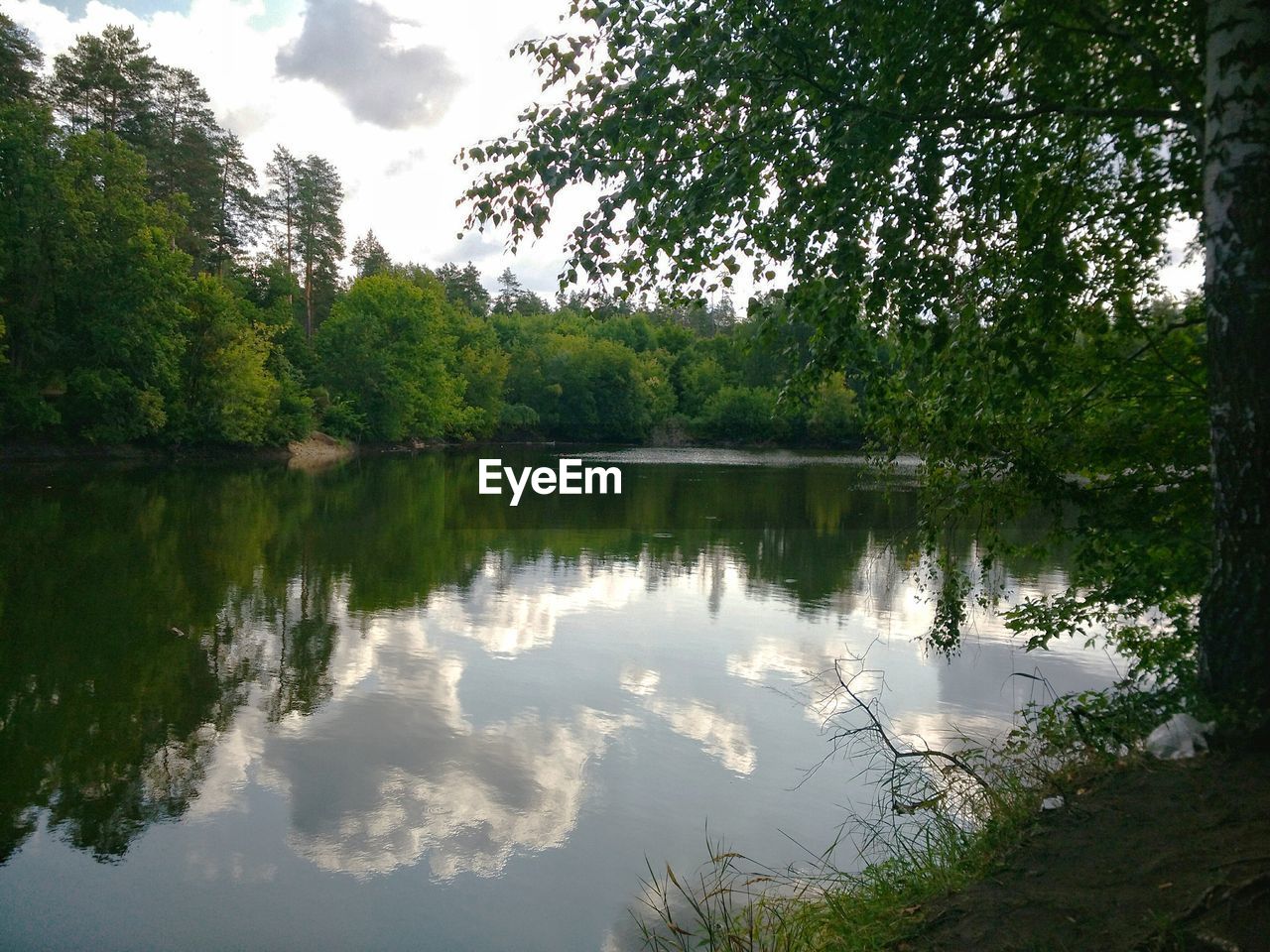 SCENIC VIEW OF LAKE BY TREES AGAINST SKY