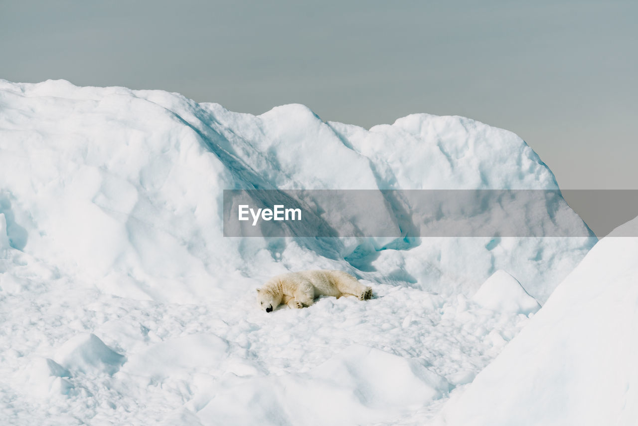 close-up of snow covered landscape